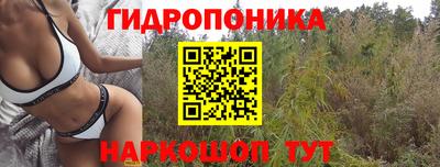 СК Усть-Илимск